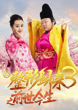 整形归来3：前世今生海报