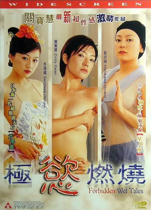 极欲燃烧海报
