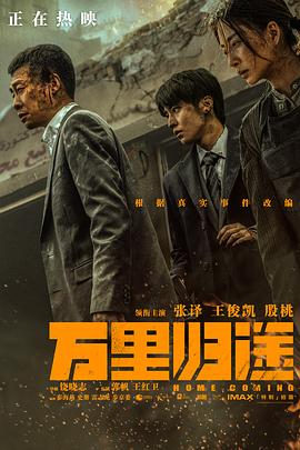 万里归途[贤哥解说]海报