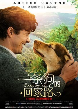 一条狗的回家路[贤哥解说]海报