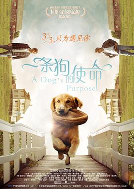 一条狗的使命[贤哥解说]海报