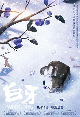 白牙国语海报