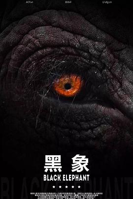 黑象[贤哥解说]海报