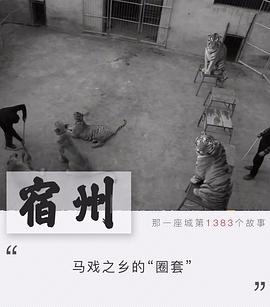 圈套：动物表演背后的真相[贤哥解说]海报