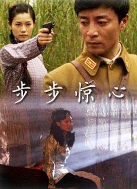 步步惊心2010海报