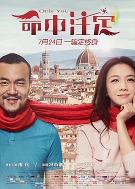 命中注定2015海报