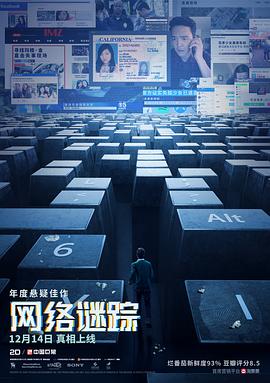 网络谜踪[电影解说]海报