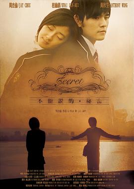 不能说的秘密[电影解说]海报