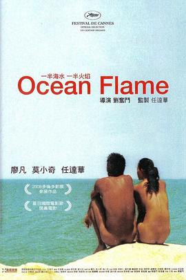 一半海水一半火焰[电影解说]海报