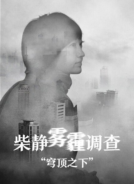 穹顶之下海报