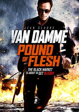 致命追击[电影解说]海报
