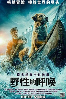 野性的呼唤[电影解说]海报
