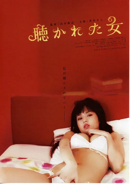 色欲迷墙海报