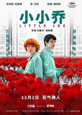 小小乔[电影解说]海报