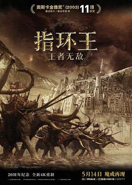 指环王3：王者无敌[电影解说]海报