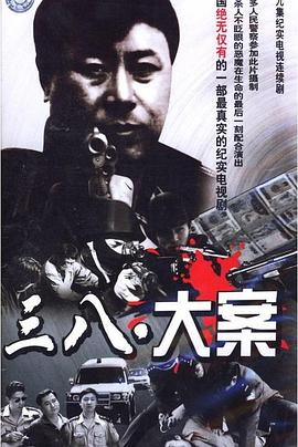 3·8大案[电影解说]海报