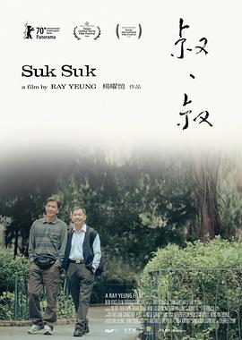 叔·叔[电影解说]海报