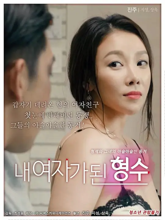 我的嫂子是我的女人海报