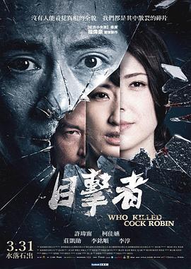 目击者之追凶[电影解说]海报