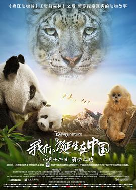 我们诞生在中国英语海报