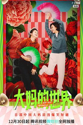 大妈的世界[电影解说]海报