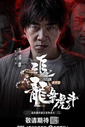 追龙番外篇之龙争虎斗粤语海报