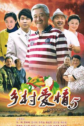 乡村爱情小夜曲[电影解说]海报