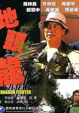 地头龙1990海报