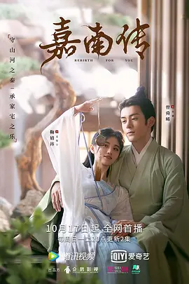 嘉南传海报