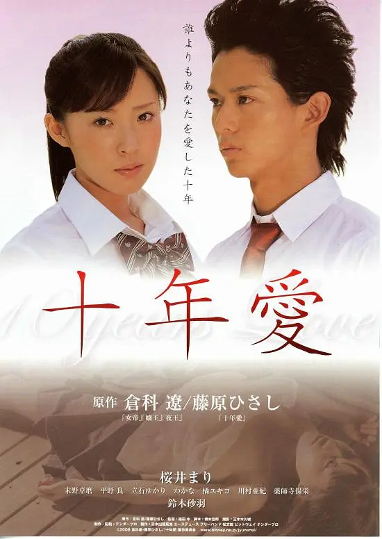 十年爱2008海报