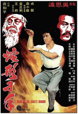 蛇形刁手[电影解说]海报
