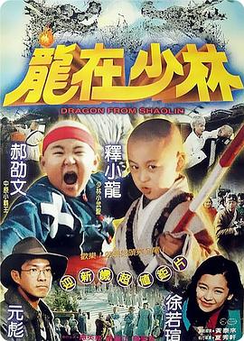 龙在少林[电影解说]海报