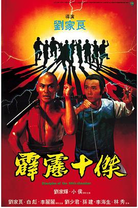 霹雳十杰[电影解说]海报