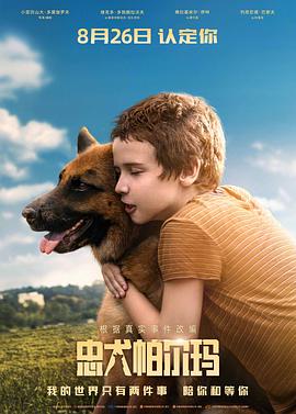 忠犬帕尔玛[电影解说]海报