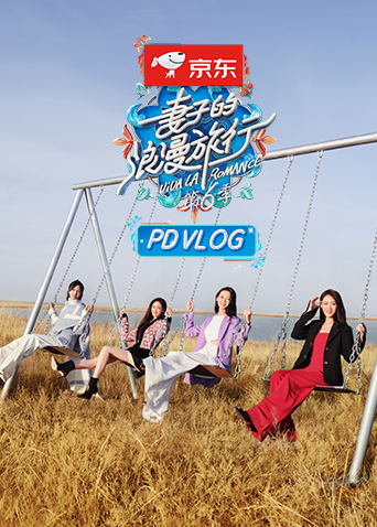 妻子的浪漫旅行第六季PDvlog海报