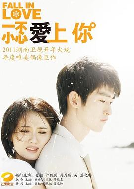 一不小心爱上你2011[电影解说]海报