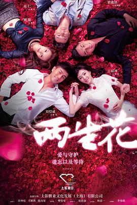 两生花2015[电影解说]海报
