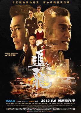 追龙Ⅱ[电影解说]海报