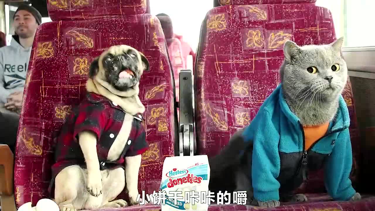 猫狗旅行记海报