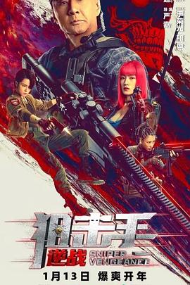 狙击手：逆战[电影解说]海报