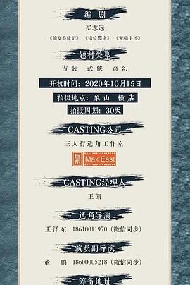 彩戏师之云机现世海报