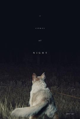 黑夜造访[电影解说]海报