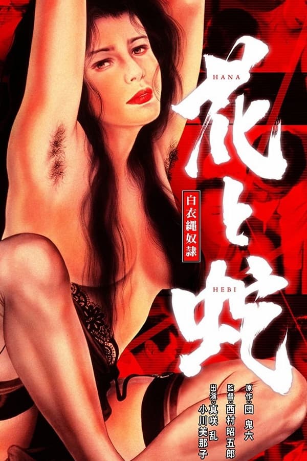 花与蛇.白衣绳奴隶海报