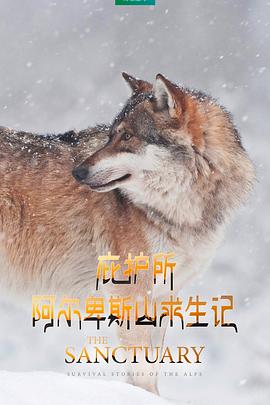 庇护所：阿尔卑斯山求生记[电影解说]海报