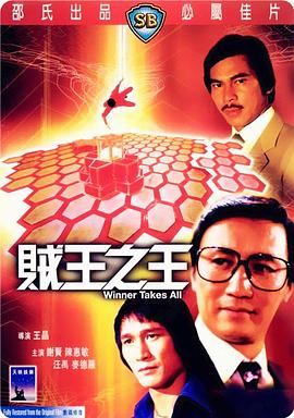 贼王之王1982海报
