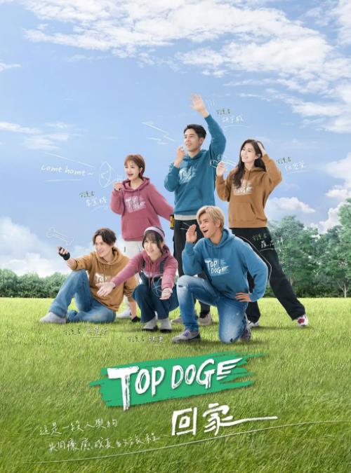 TOP DOG海报