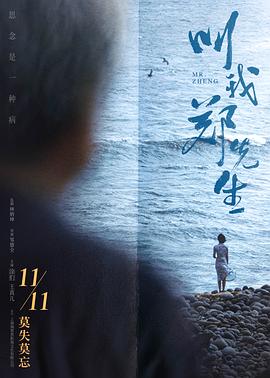 叫我郑先生[电影解说]海报