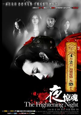 夜惊魂2011[电影解说]海报