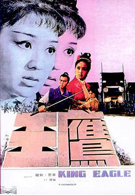 鹰王1971海报