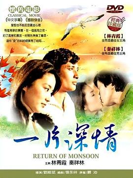 一片深情1979海报